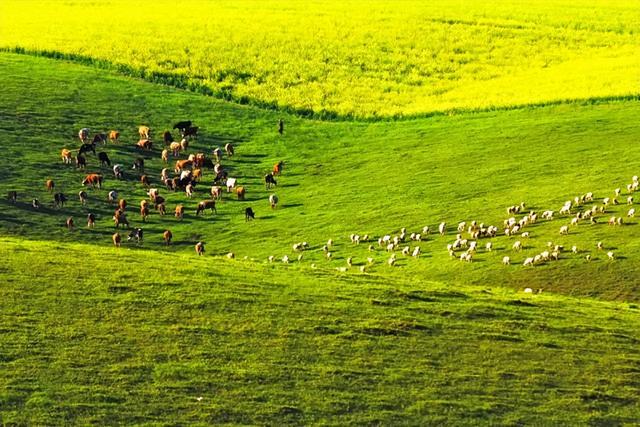 夏天哪里旅游好，16个夏天最值得去的地方（六七月份值得推荐的8个绝美景点）