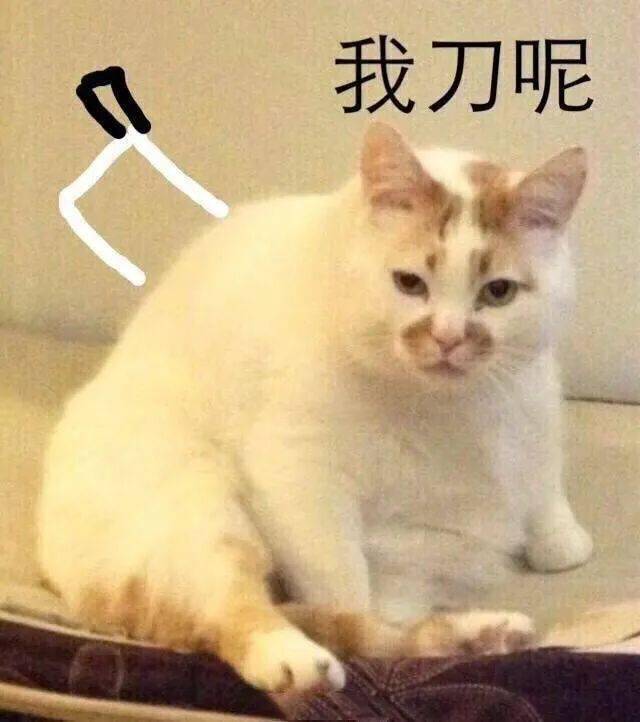 刚断奶小猫一次吃多少粒猫粮 断奶后的小猫一天喂几次