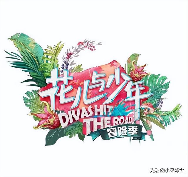 花儿与少年收视率，花儿与少年第一季和第二季哪季收视率更高（《花儿与少年第四季》收视率降低）