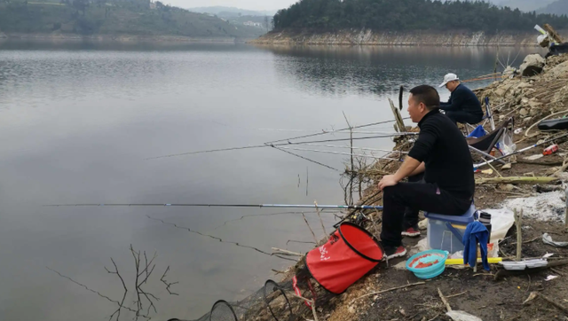 最常见的淡水鱼都有哪种，最常见的淡水鱼
