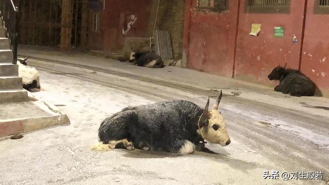 色达几月份去最好，什么时间段去色达旅游好（一生应该来一次色达喇荣五明佛学院。愿见闻者得福。）