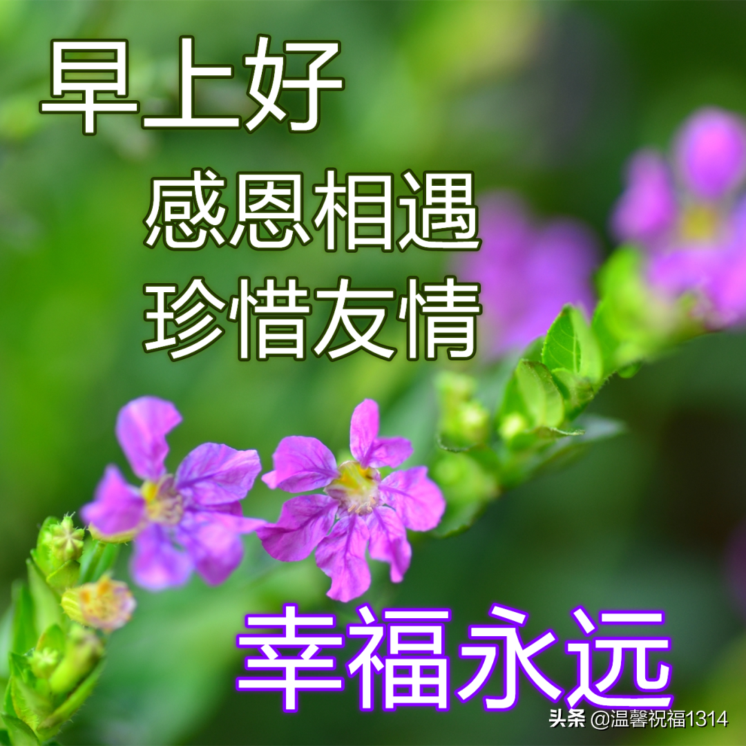 祝福背景图片唯美,最美早安吉祥如意祝福图片 - 玉三网