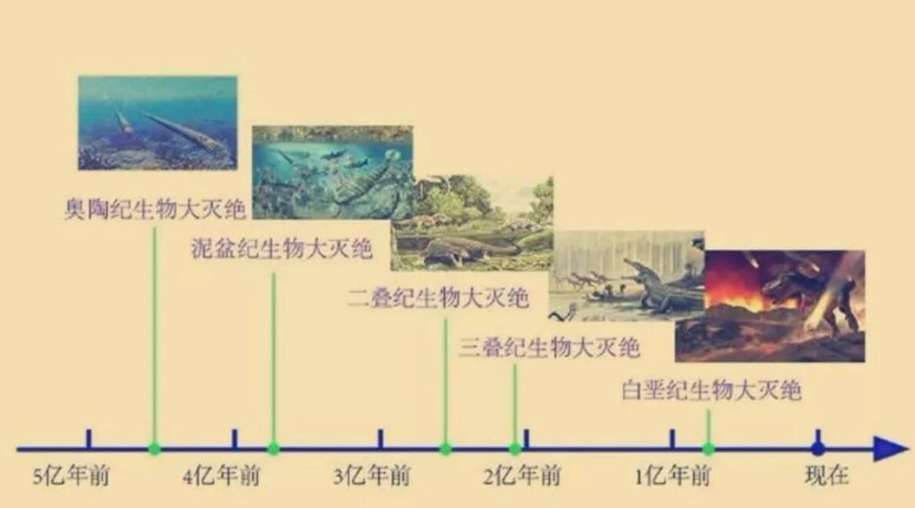 恐龙灭绝时间(恐龙灭绝过程持续多长时间)