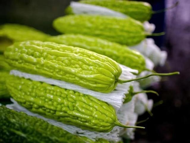 夏天有什么蔬菜，夏季都有什么时令蔬菜（夏天必吃的九种蔬菜）