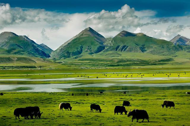 三江源指的是哪三江，三江并流是哪三江（你知道我国的“三江源”地区和“三江并流”地区）