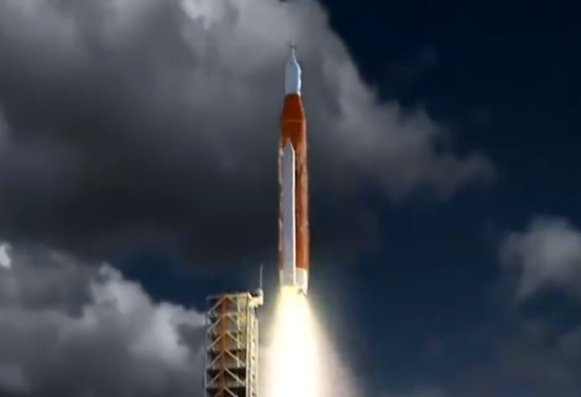 猩猩的寿命，野生大猩猩的寿命（一只黑猩猩被美国送上太空）