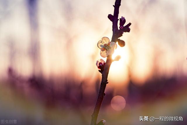 什么叫优越感，什么叫优越感理论（满屏溢满的优越感）