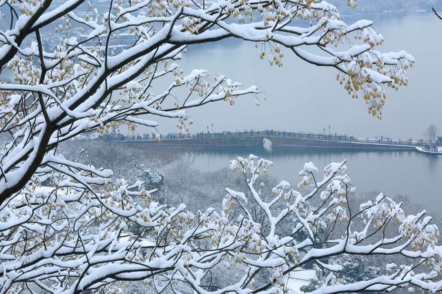 蘇堤春曉,曲苑風荷,平湖秋月,斷橋殘雪,柳浪聞鶯,花港觀魚,雷峰夕照