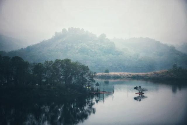 不拘一格降人才的意思，我劝天公重抖擞不拘一格降人才的意思（20个耳熟能详的成语）