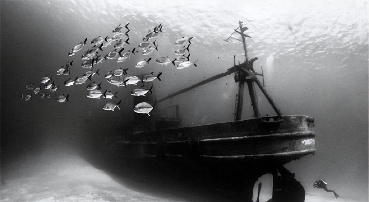 黄金大米的争议事件，黄金大米事件伦理分析（沉睡数十年的阿波丸号被打捞出水）