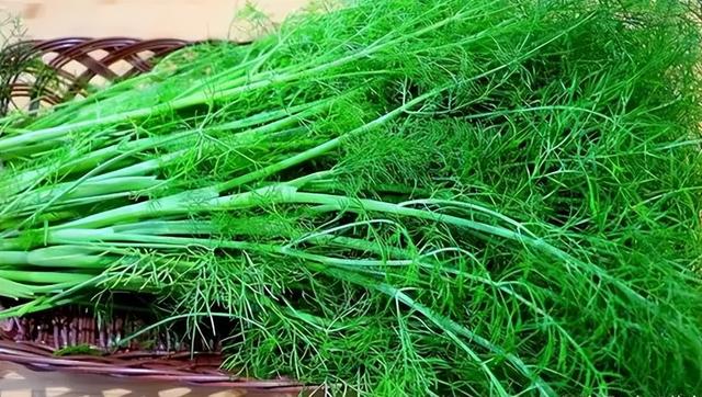 大茴香是八角吗，大茴是八角吗（地位“尴尬”的茴香）