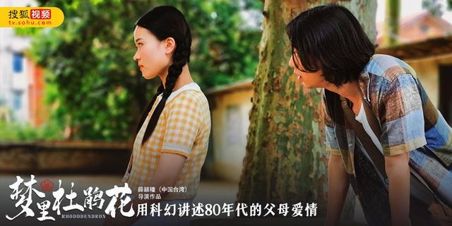 无怨无悔爱一场是什么歌，无怨无悔爱一场是什么歌曲（《梦里杜鹃花》为爱发声）