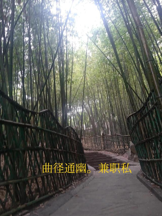 诸葛亮七擒孟获，诸葛亮七擒孟获的用意是什么（诸葛亮七擒孟获的意思）