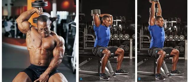 健身发展的肌肉及力量的训练方法，健身发展的肌肉及力量的训练方法是（每块肌肉最有效训练动作）