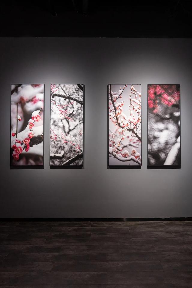 诚品书店大陆有几家，诚品书店网店（锦创书城：你非说它是一个书店）