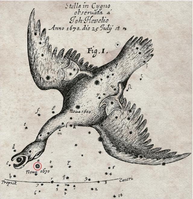 星座图片大全，星座图片（那些你可能未听说过的星座含义）