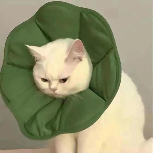 情侣图片一对两张，情侣图片一对两张一套（情侣头像一对两张，超可爱）