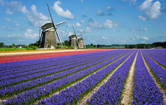 美国有哪五大农业带 美国五大农业带是什么，美国有哪五大农业带（中国农业的发展趋势）