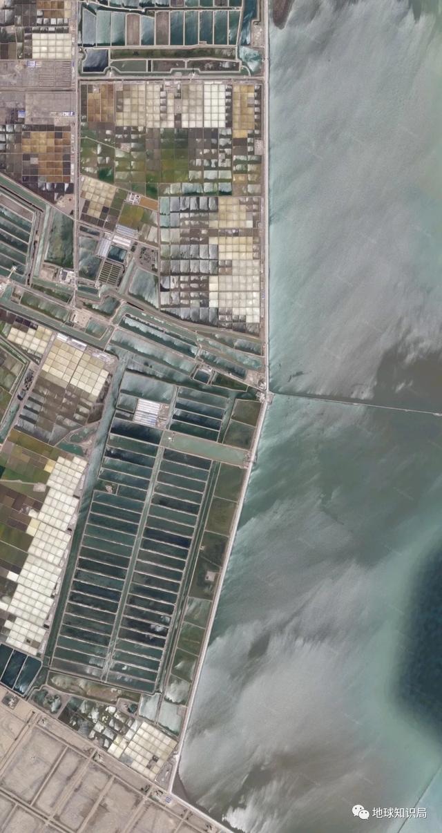 沧海桑田的沧海是哪个海，“沧海桑田”（渤海，越来越小了，地球知识局）