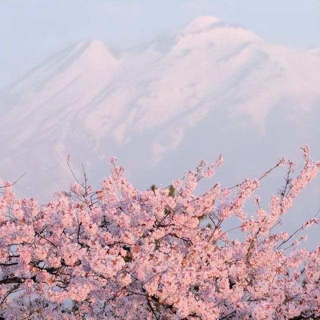 大自然清新头像风景微信，小清新多彩的风景微信头像