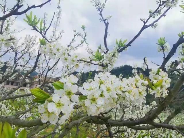 韶关丹霞山旅游攻略，韶关市最有名的旅游景点（来韶关开启徒步模式吧~）