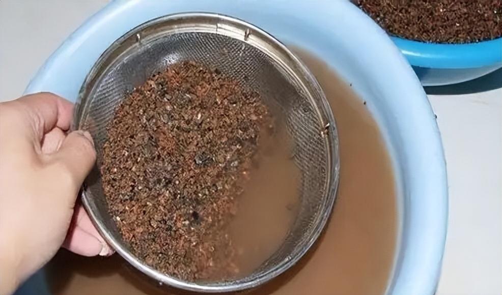 花肥用什么肥料好，养花用什么肥料（家里“5种”东西）