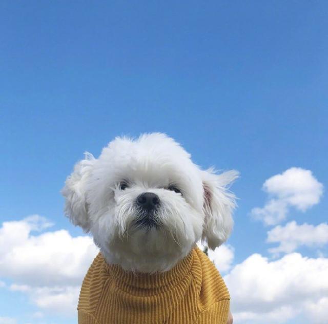 不开心的说说短句，不开心的说说短句男生（心情低落人生哲理短句）