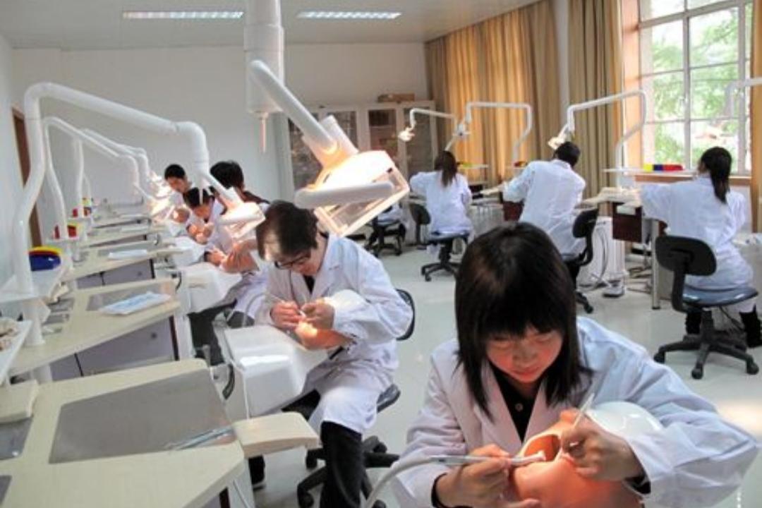 女生冷门又高薪的职业(这年头学什么技术比较好)