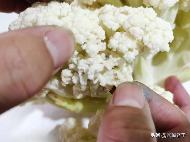 菜花是什么菜，菜花是什么菜图片（看完赶紧收藏告诉家人）