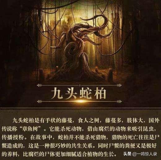 盗墓笔记十大凶物排行，盗墓笔记十大恐怖怪物 听起来就不寒而栗（盘点盗墓笔记中最恐怖的十大怪物）