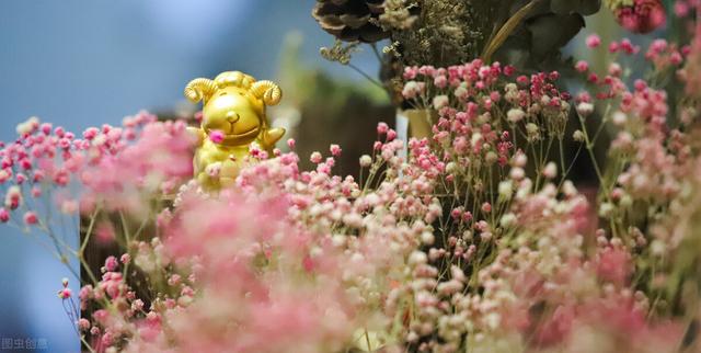 上海高职高专学校，上海高职院校排名（上海排名前5的专科学校）