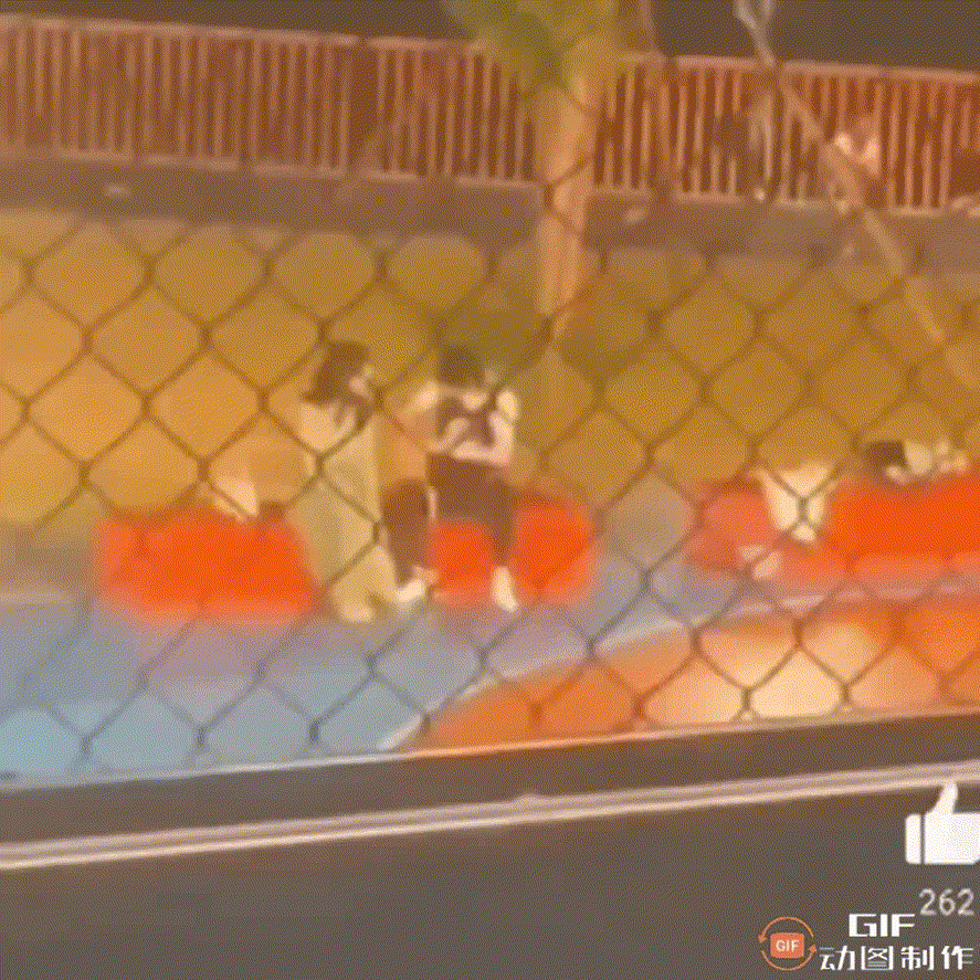 冬凌草的功效与作用，冬凌草片的功效与作用（跟胡军陈建斌合作《黑土无言》即将播出）