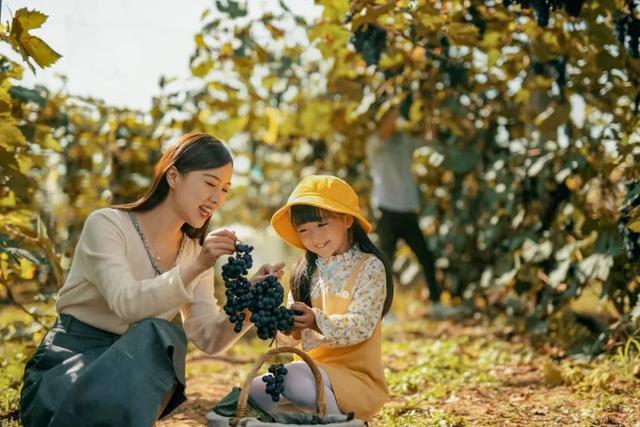 北京出游好去处，北京游玩好去处（到这些“世外桃源”）