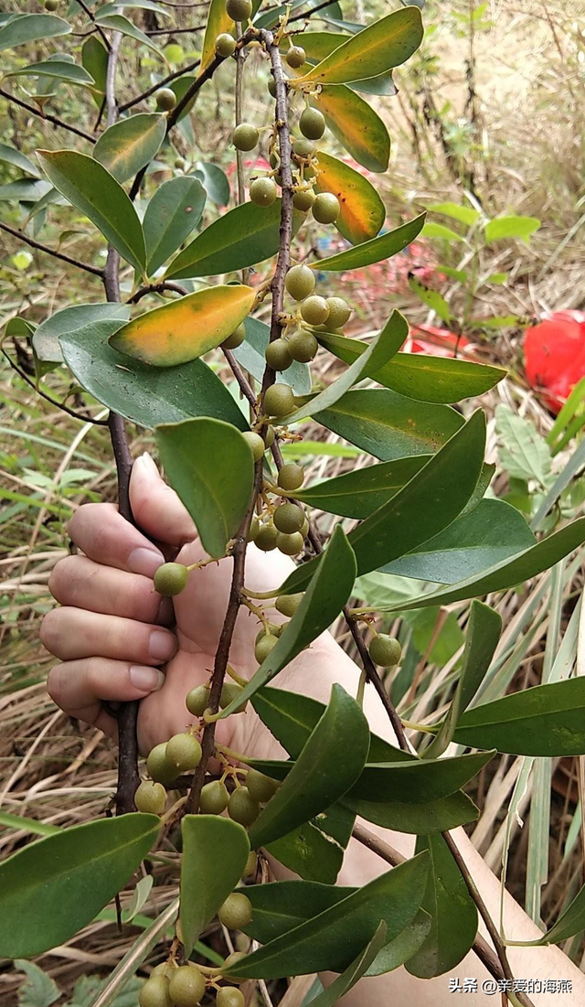 8090后童年的味道记忆中的零食，80后90后们你还记得几样