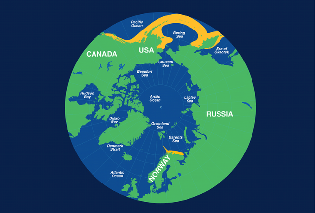 帝王蟹多少钱一只，深圳帝王蟹多少钱一斤（国内一只上千块的帝王蟹）