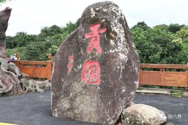 广东省内旅游攻略，广东10大最美自驾线路