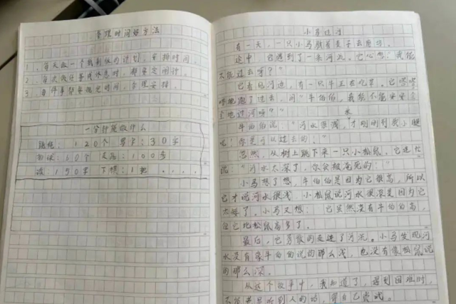 能字笔顺笔画，能的笔顺怎么写（按照“会写—写好—写快”的标准）