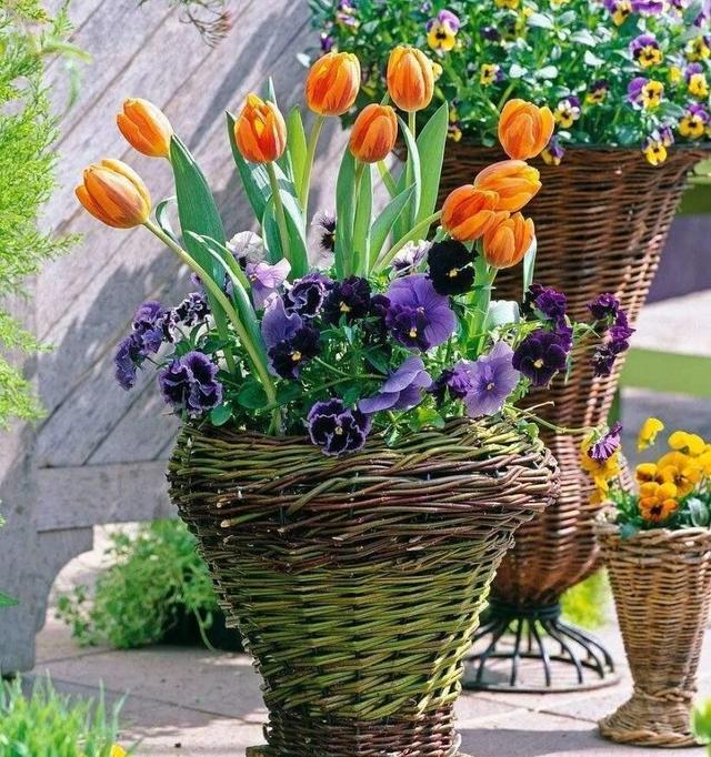 盆景花卉批发市场，重庆市花卉盆景批发市场在哪里（这几个平台市场随你逛）