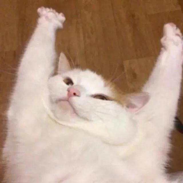 搞怪动物表情包，微信头像，搞怪动物表情包（收集一些搞怪的动物头像）