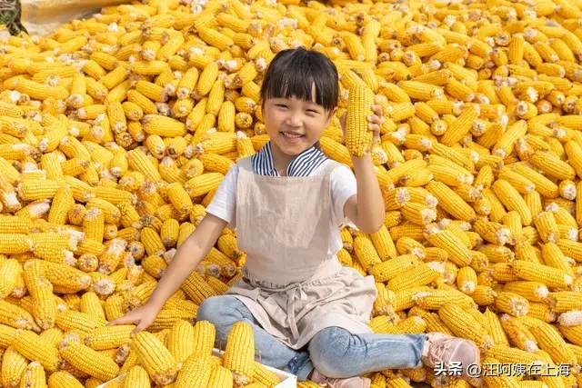最失败的家庭是什么样的？
