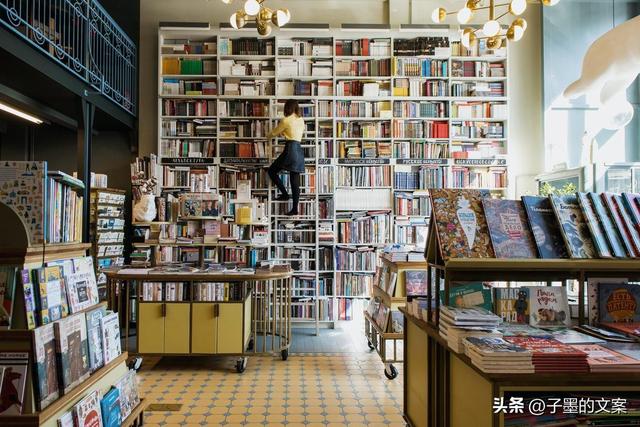 个人资料怎么写，个人资料怎么查（新手文案如何搭建个人知识体系）