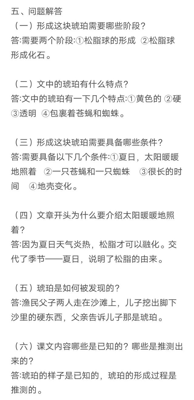 晌组词和拼音 晌组词和拼音是什么，晌组词和拼音（四年级下册语文 第五课）