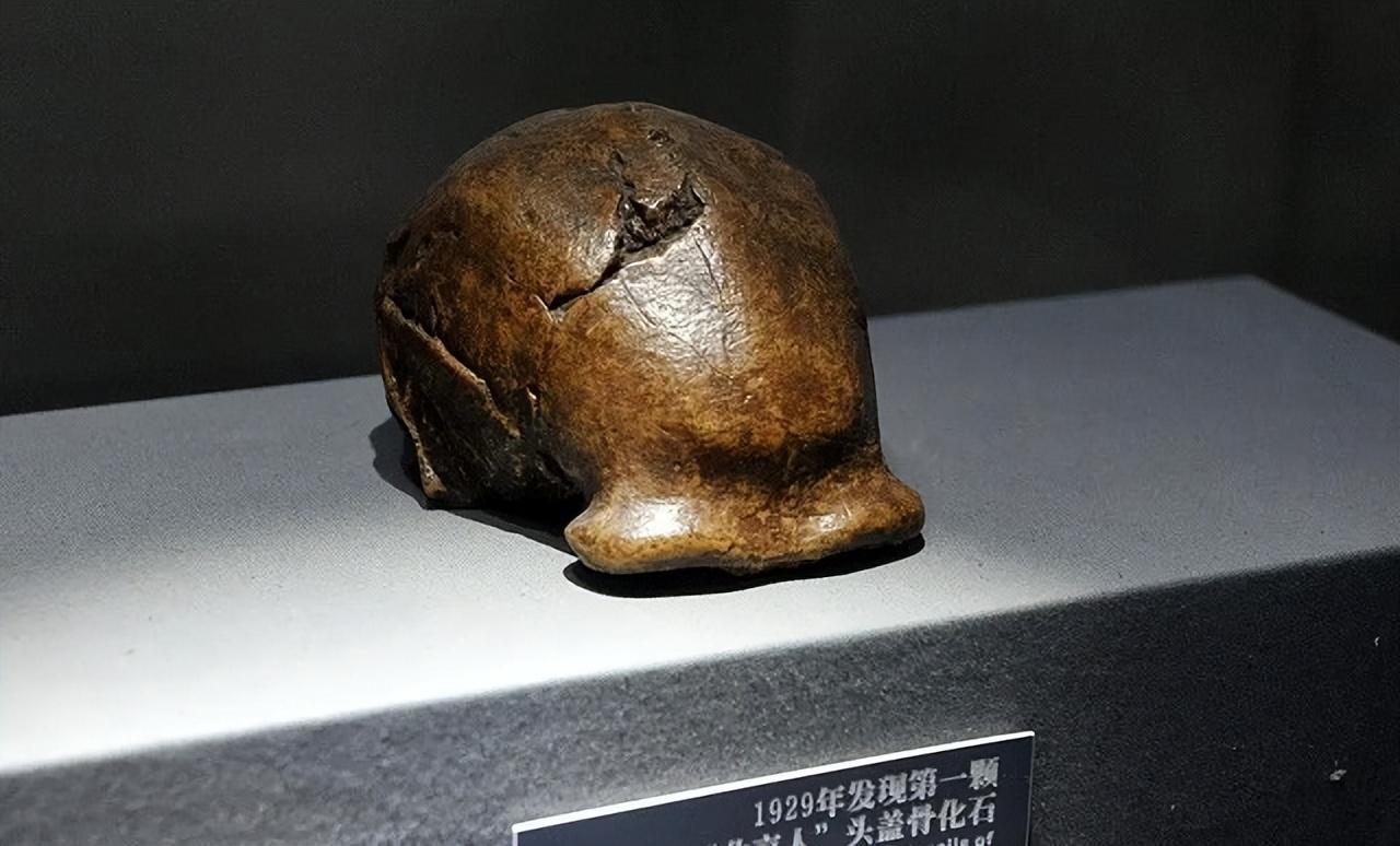 黄金大米的争议事件，黄金大米事件伦理分析（沉睡数十年的阿波丸号被打捞出水）