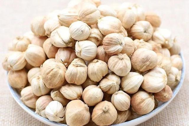 姜的种类和功效，姜的种类和功效和作用（12种姜科的辛香料）