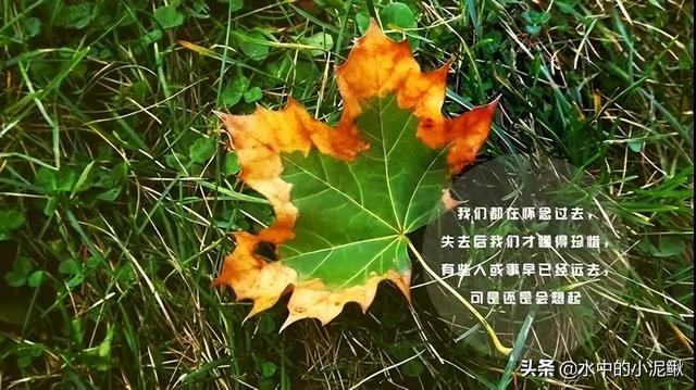 工作正能量心灵鸡汤，工作正能量分享心灵鸡汤（每一段都在激励着大家）