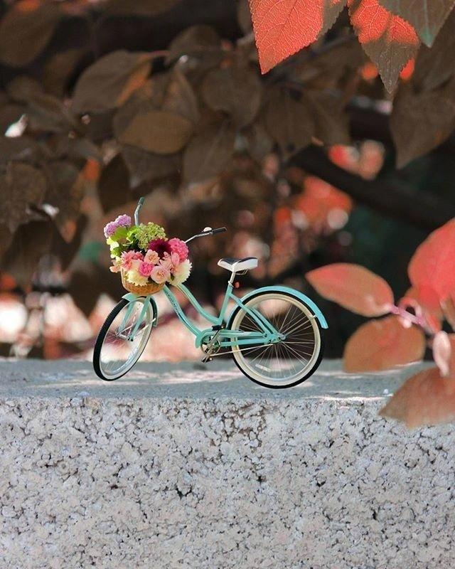 12字人生格言，简短人生格言12个字（二十一句金典人生格言）