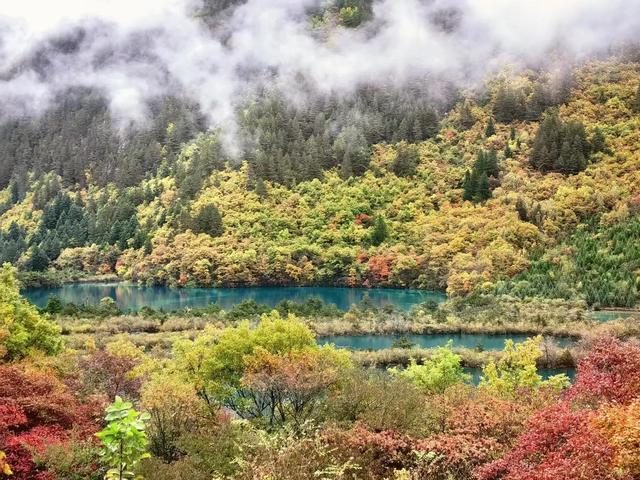 四川九寨沟简介，四川九寨沟介绍（四川九寨沟）