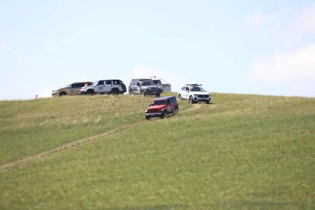 自驾游去哪里比较好，春季自驾游去哪里比较好（100天35000公里）