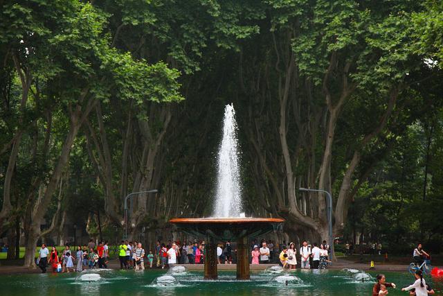 东南大学九龙湖校区，东南大学博士宿舍可以自己选吗（东南大学<东南大学篇>）