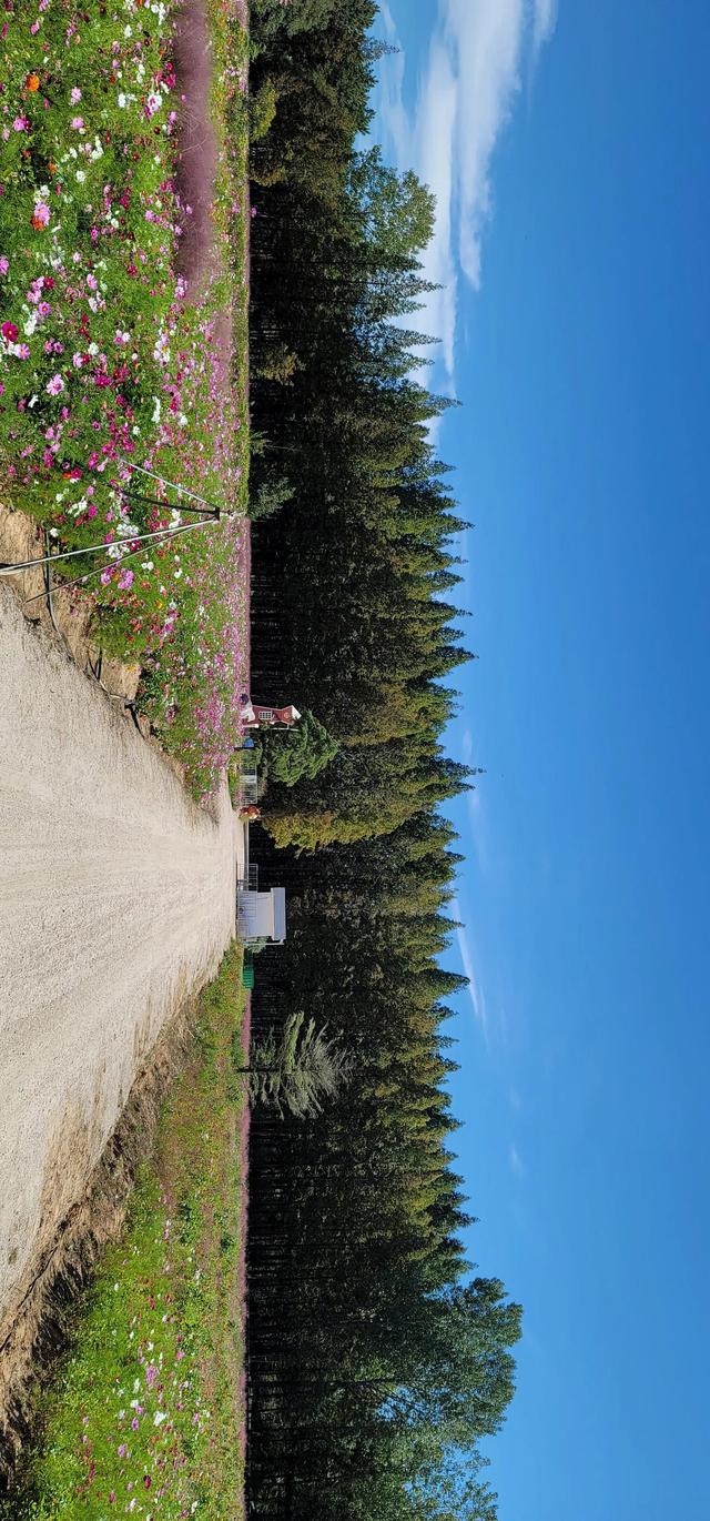 上海到青岛多远，上海到青岛的路程（上海青岛往返1400公里全程无高速沿途城市蜻蜓点水游）